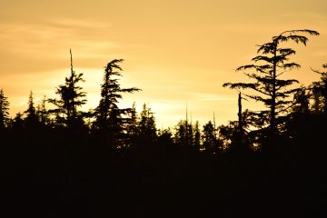 Sunset in the wilds of BC