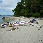 Kayaks on Cabbage Island
